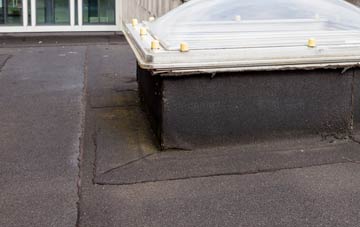 disadvantages of Roskhill flat roofs